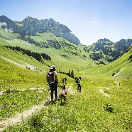 Voinettes Vnb2 Telecabine & Mountain 4 Pers